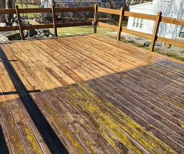decks and fence